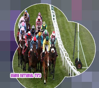Grand national free bets