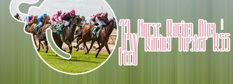 Most successful horse racing tipster